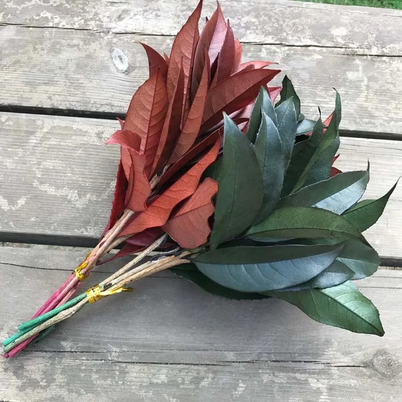 5PCS Natural Fresh eternal sweet-scented osmanthus trees Branch,preserved forever Leaves In Green,Red For Home Decor,Wedding
5PCS Natural Fresh eternal sweet-scented osmanthus trees Branch,preserved forever Leaves In Green,Red For Home Decor,Wedding