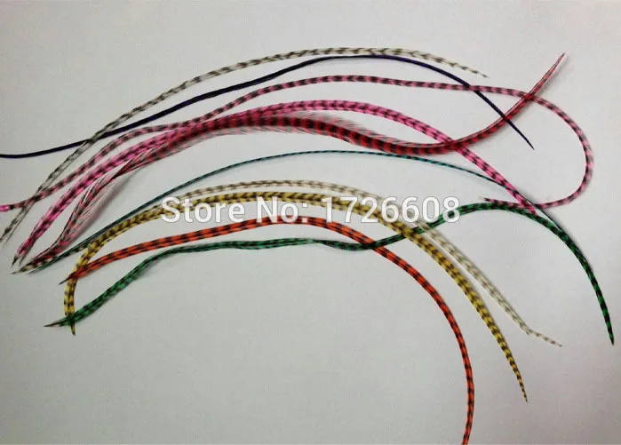 10pcs/lot 20-30cm Natural Feathers 100% Real Grizzly Thin Rooster Individual Feather Hair Extensions Salon DIY Hair accessories
10pcs/lot 20-30cm Natural Feathers 100% Real Grizzly Thin Rooster Individual Feather Hair Extensions Salon DIY Hair accessories