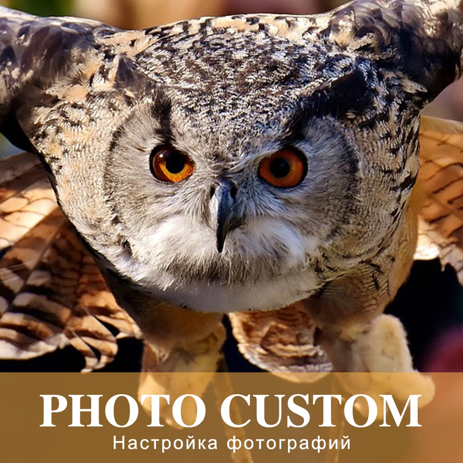 SaShiKo Animals Photo Custom Diamond Painting Full Square Picture of Rhinestone DIY Diamond Mosaic Diamond Embroidery Sale
SaShiKo Animals Photo Custom Diamond Painting Full Square Picture of Rhinestone DIY Diamond Mosaic Diamond Embroidery Sale
