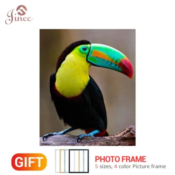 Full Square/Round Drill 5D DIY Diamond Painting Frame "Animal Exotic Bird" 3D Embroidery Cross Stitch 5D Home Decor Gift
Full Square/Round Drill 5D DIY Diamond Painting Frame "Animal Exotic Bird" 3D Embroidery Cross Stitch 5D Home Decor Gift