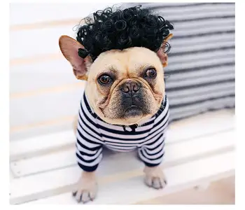 Funny Pet Dog Wig Cosplay Cap for Small Puppy Dogs Cats Cute Lovely Girl Hair Loop Head Wear Dog Pet Hat Hair Costume
Funny Pet Dog Wig Cosplay Cap for Small Puppy Dogs Cats Cute Lovely Girl Hair Loop Head Wear Dog Pet Hat Hair Costume
