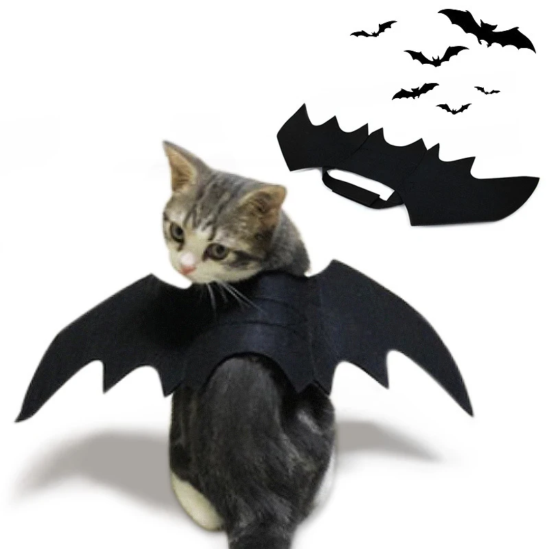 Pet Dog Cat Bat Wing Cosplay Prop Halloween Bat Fancy Dress Costume Outfit Wings Lovely Clothes
Pet Dog Cat Bat Wing Cosplay Prop Halloween Bat Fancy Dress Costume Outfit Wings Lovely Clothes