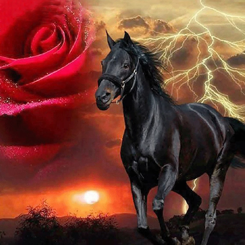 5D DIY Diamond Painting Full Round Beads Embroidery Red Rose&Black Horse Diamond Mosaic Rhinestones Picture Cross Stitch Gift
5D DIY Diamond Painting Full Round Beads Embroidery Red Rose&Black Horse Diamond Mosaic Rhinestones Picture Cross Stitch Gift