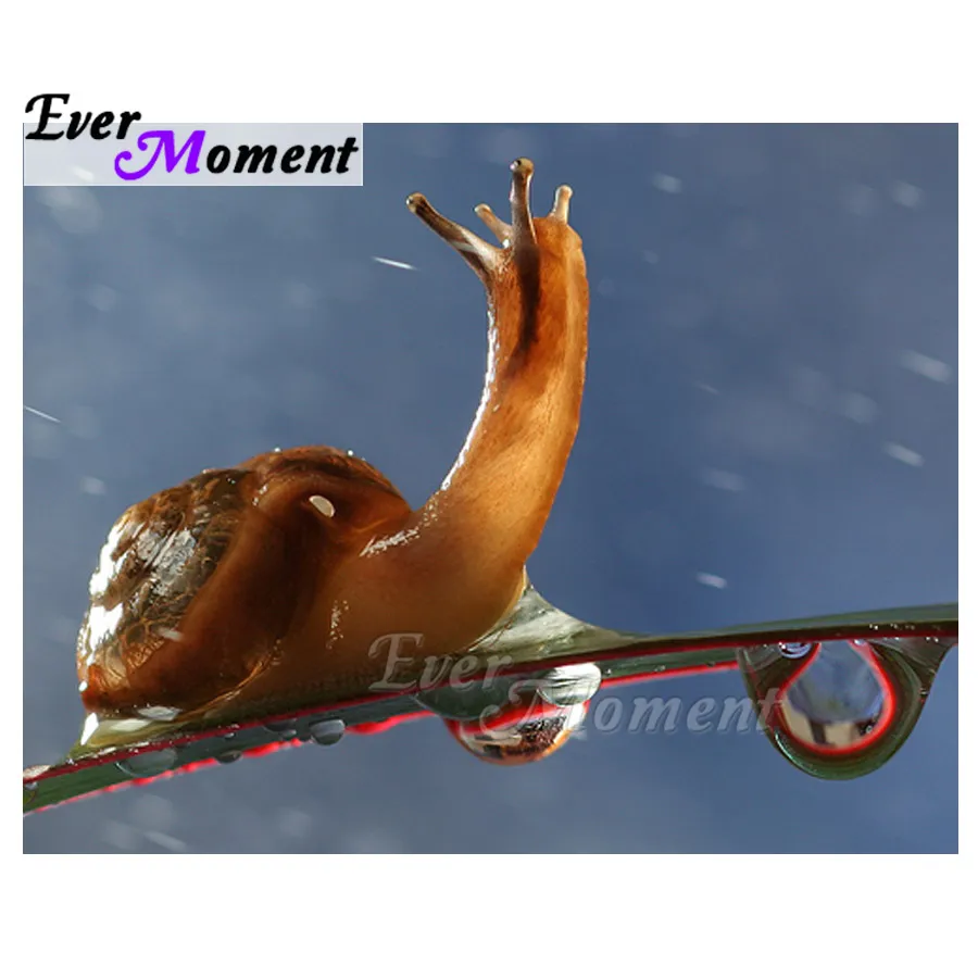 Ever Moment Diamond Painting Handmade Mosaic Full Square Drill Snail 5D DIY Picture Of Rhinestone Diamond Embroidery 3F908
Ever Moment Diamond Painting Handmade Mosaic Full Square Drill Snail 5D DIY Picture Of Rhinestone Diamond Embroidery 3F908