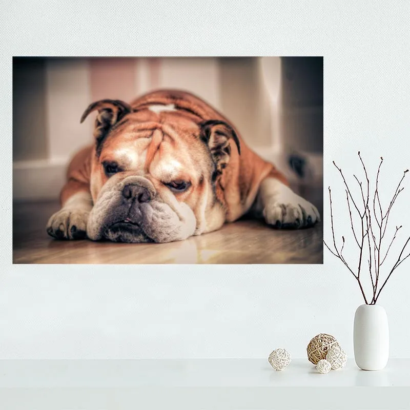 Custom bulldog canvas poster Home Decoration Wall Art New arrival cloth Silk Fabric wall poster print
Custom bulldog canvas poster Home Decoration Wall Art New arrival cloth Silk Fabric wall poster print