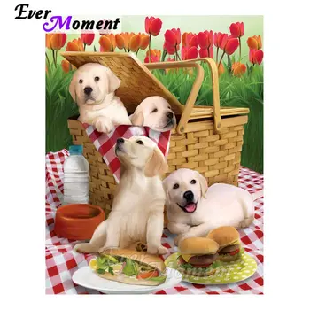 Ever Moment Dogs Diamond Painting Cross Stitch Picture Mosaic Full Square Drill 5D DIY Diamond Embroidery Rhinestone S2F1327
Ever Moment Dogs Diamond Painting Cross Stitch Picture Mosaic Full Square Drill 5D DIY Diamond Embroidery Rhinestone S2F1327