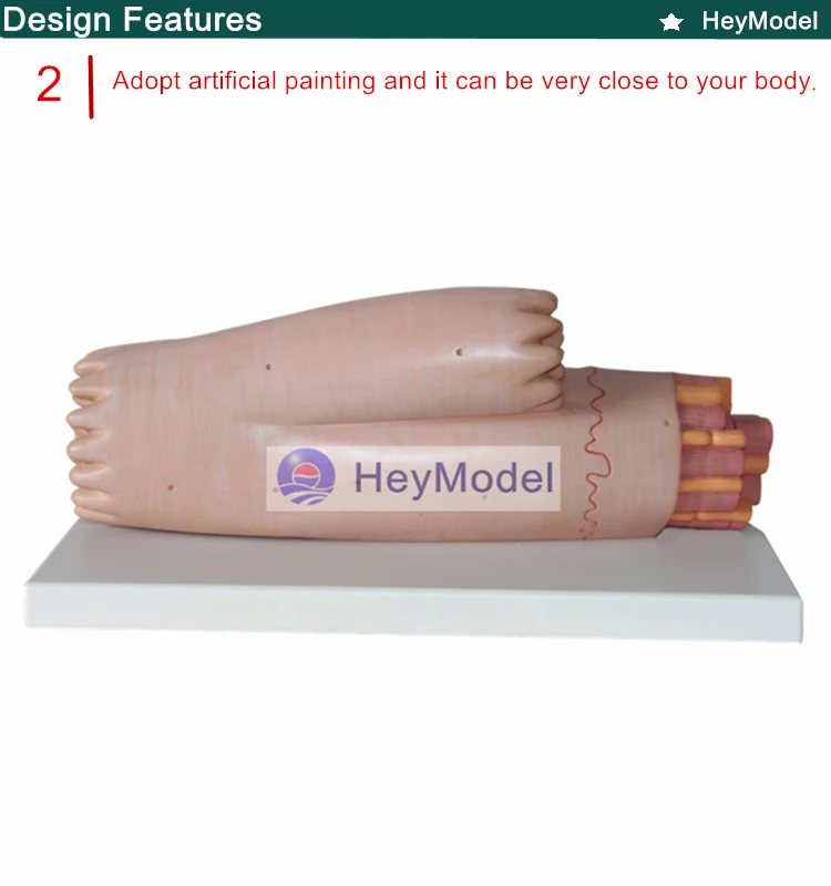 2. _