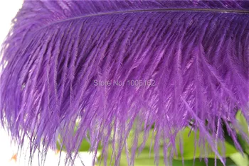Free Shipping 100pcs 18-20inch purple Ostrich Feathers plumes for Wedding centerpiece party event supplies decor
Free Shipping 100pcs 18-20inch purple Ostrich Feathers plumes for Wedding centerpiece party event supplies decor