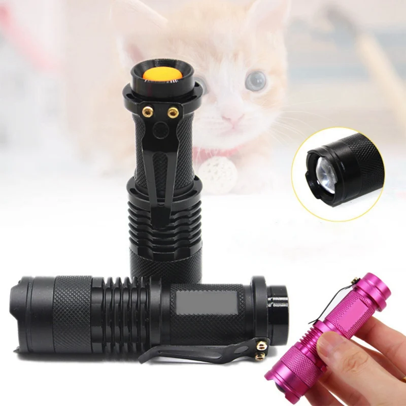 Portable UV Flashlight for Pet Urine Test Face Mask Makeup Test Ultraviolet Light Detector AA Batteries Not Included
Portable UV Flashlight for Pet Urine Test Face Mask Makeup Test Ultraviolet Light Detector AA Batteries Not Included