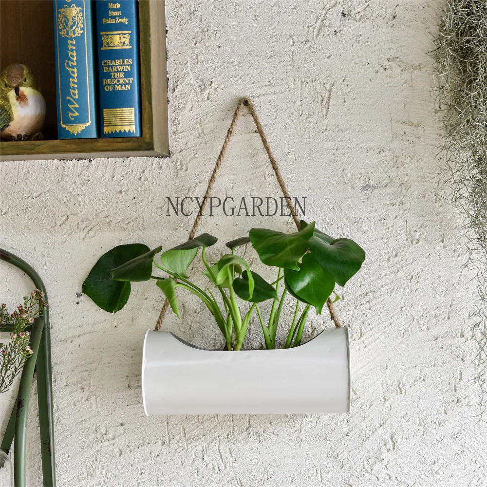 Hanging Planter Iron and Rope Modern Succulent Cactus Pots Decorative Display Flower Pot
Hanging Planter Iron and Rope Modern Succulent Cactus Pots Decorative Display Flower Pot