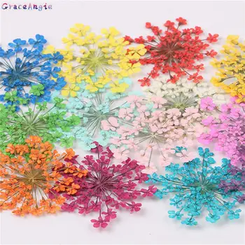GraceAngie 50pcs/lot Multi Color Natural Dried Flower Mini Cute Cabochons Phone shell DIY Necklace Pendant Jewelry Findings
GraceAngie 50pcs/lot Multi Color Natural Dried Flower Mini Cute Cabochons Phone shell DIY Necklace Pendant Jewelry Findings