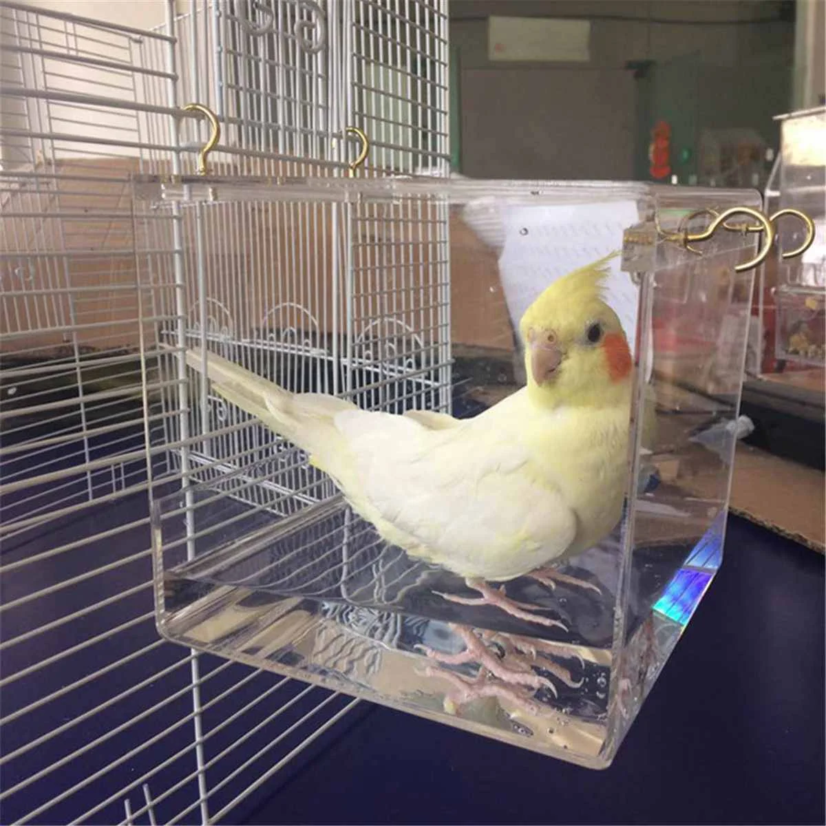 Acrylic Bird Bathtub with Hooks Cage Accessory Bird Bath Shower Box Pet Supplies Tiger Peony Parrot Bathtub S/L Size 
Acrylic Bird Bathtub with Hooks Cage Accessory Bird Bath Shower Box Pet Supplies Tiger Peony Parrot Bathtub S/L Size