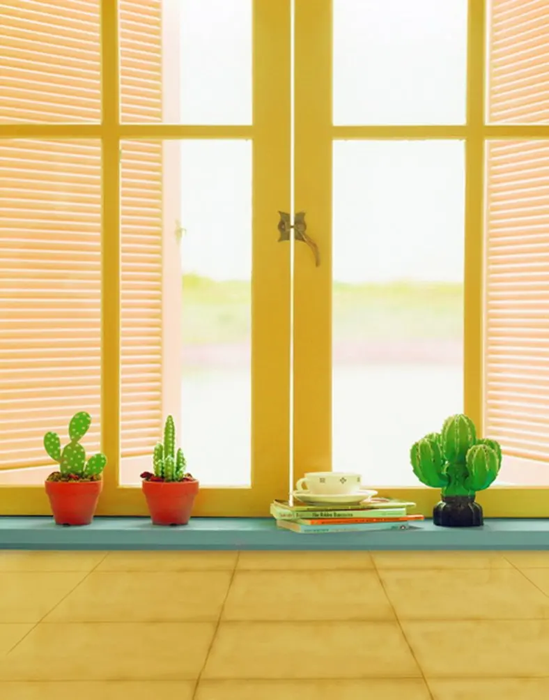 5x7ft Yellow Room Cactus Photography Backdrops Photo Props Studio Background
5x7ft Yellow Room Cactus Photography Backdrops Photo Props Studio Background