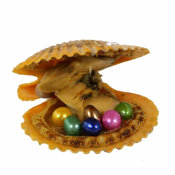 Oval Oyster Pearl 2018 New 7-8mm Mix 20 Color Freshwater Natural Pearl Gift DIY Vacuum Packaging Wholesale Free Shipping RO025
Oval Oyster Pearl 2018 New 7-8mm Mix 20 Color Freshwater Natural Pearl Gift DIY Vacuum Packaging Wholesale Free Shipping RO025