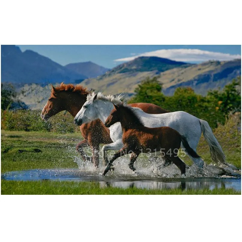 Diamond embroidery horse painting cross stitch mosaic horse 48*30cm round drill full picture pastes needlework hobby N003
Diamond embroidery horse painting cross stitch mosaic horse 48*30cm round drill full picture pastes needlework hobby N003