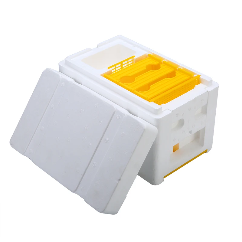 1Pc Bee Hive Auto Honey Beehive Frames Beekeeping Kit Bee Hive King Pollination Box For Garden Pollination Bee Equipment
1Pc Bee Hive Auto Honey Beehive Frames Beekeeping Kit Bee Hive King Pollination Box For Garden Pollination Bee Equipment