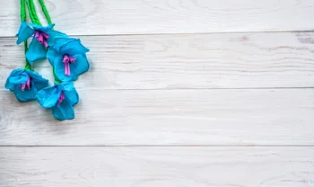 Blue Flower Wood Vinyl Hintergrund Background For Photography Custom Backdrop E190127A16
Blue Flower Wood Vinyl Hintergrund Background For Photography Custom Backdrop E190127A16