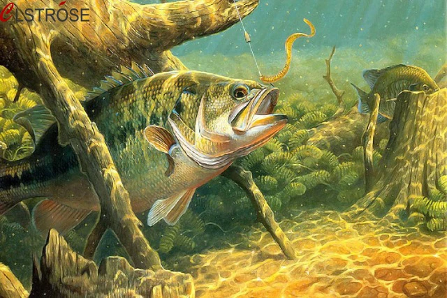 CLSTROSE Prints Fishing Lake Canvas Poster Wall Picture The Fish In Sea Landscape Modern Wall Painting Fishing Lover Home Decor
CLSTROSE Prints Fishing Lake Canvas Poster Wall Picture The Fish In Sea Landscape Modern Wall Painting Fishing Lover Home Decor