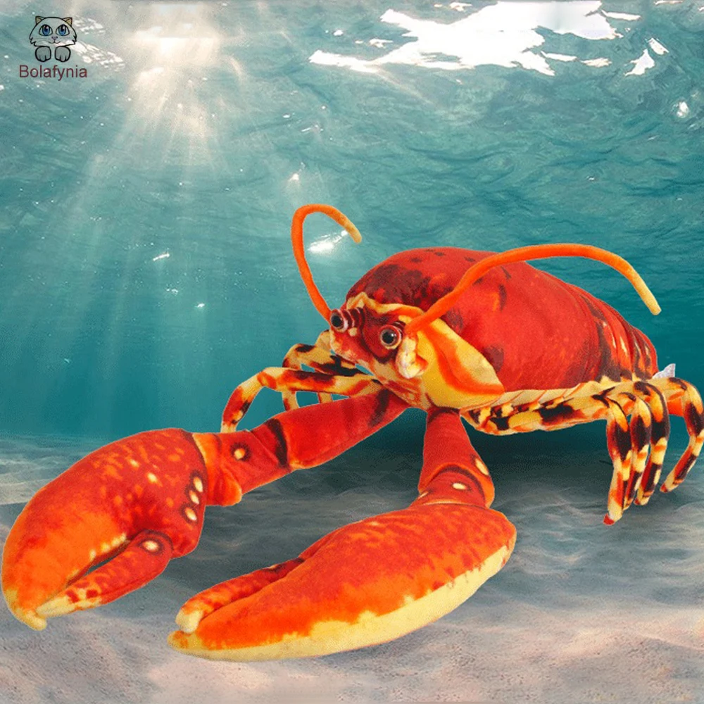 BOLAFYNIA Children Plush Toy ocean pillow big Lobsters Baby Kids Stuffed Toy for Christmas Birthday Gift
BOLAFYNIA Children Plush Toy ocean pillow big Lobsters Baby Kids Stuffed Toy for Christmas Birthday Gift