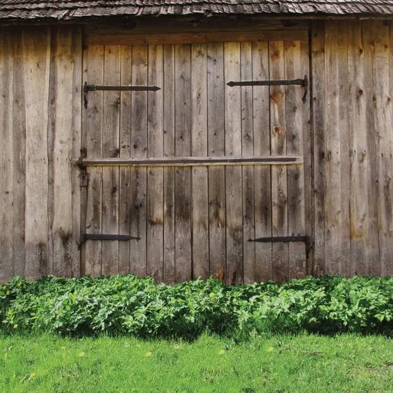 Barn Door Wood Gate Rural Wild Countryside grass photography backgrounds Computer print newborn baby backdrops
Barn Door Wood Gate Rural Wild Countryside grass photography backgrounds Computer print newborn baby backdrops