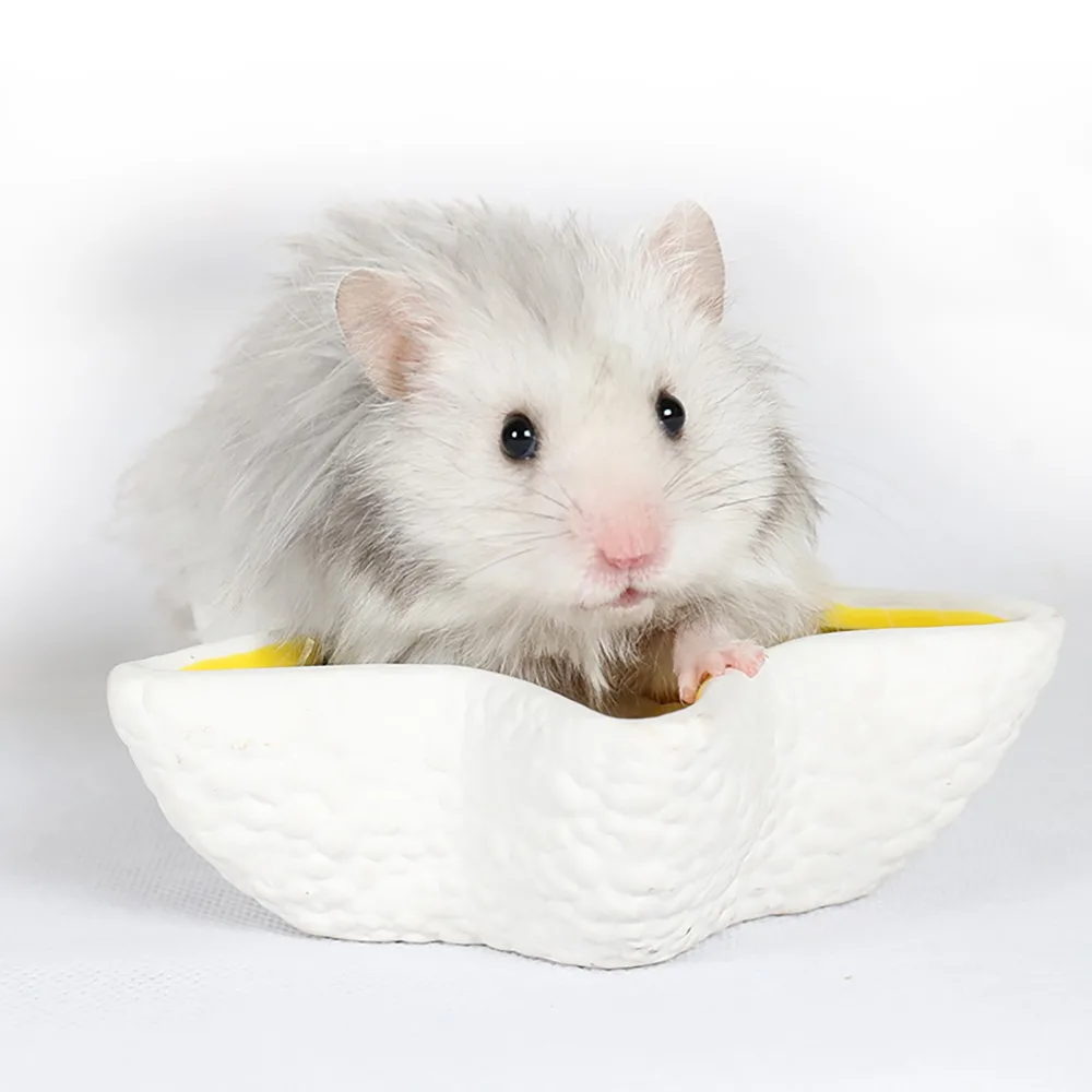 Hamster Ceramic Tubs Hamster Hedgehog Food Pot Ceramics Chinchilla Guinea Pigs Guinea Pig Food Bowls Reptile Basin
Hamster Ceramic Tubs Hamster Hedgehog Food Pot Ceramics Chinchilla Guinea Pigs Guinea Pig Food Bowls Reptile Basin