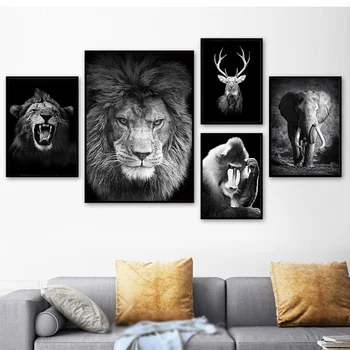 White and Black Animal Wall Canvas Painting Lion Elephant Deer Orangutan Posters and Prints Wall Pictures for Living Room
White and Black Animal Wall Canvas Painting Lion Elephant Deer Orangutan Posters and Prints Wall Pictures for Living Room