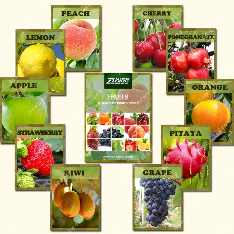 ZLKING 10 Varieties 550PCS Mixed Organic Fruit Tree Sweet Candied Fruit Non-Gmo Vegetable Plant For Home Garden
ZLKING 10 Varieties 550PCS Mixed Organic Fruit Tree Sweet Candied Fruit Non-Gmo Vegetable Plant For Home Garden