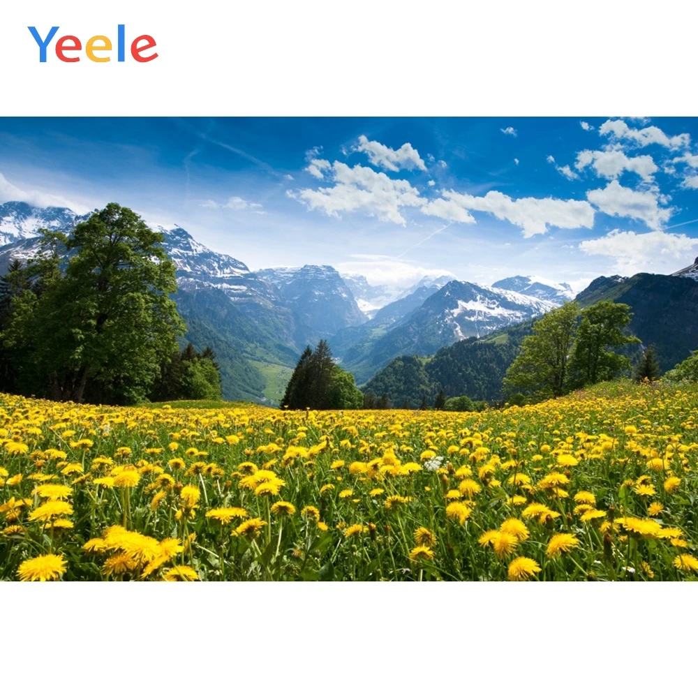 Yeele Natural Scenery Travel Flowers Mountain Children Photography Backdrops Love Wedding Photographic Backgrounds Photo Studio
Yeele Natural Scenery Travel Flowers Mountain Children Photography Backdrops Love Wedding Photographic Backgrounds Photo Studio