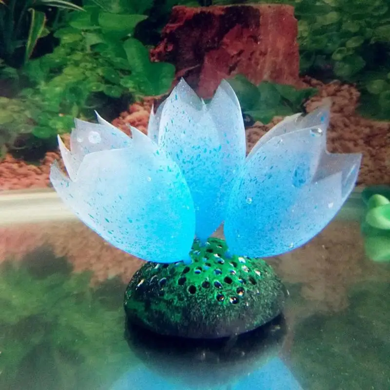 Aquarium Simulation Kelp Water Grass Fake Underwater Plants Fish Tank Decor for household Fish Pool Planter Decoration Accessory
Aquarium Simulation Kelp Water Grass Fake Underwater Plants Fish Tank Decor for household Fish Pool Planter Decoration Accessory