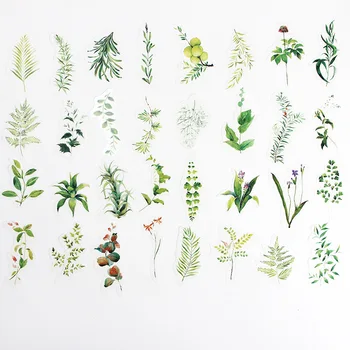 34 PCS Cute Stickers Green Plant Theme Scrapbooking Bullet Journal Stickers Stationery Sticker Flakes Handmade Diary Seal Labels
34 PCS Cute Stickers Green Plant Theme Scrapbooking Bullet Journal Stickers Stationery Sticker Flakes Handmade Diary Seal Labels