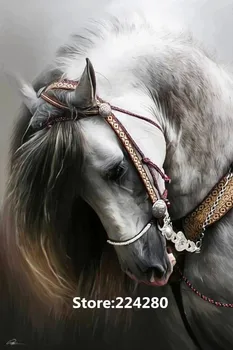 Needlework,For embroidery,DIY White Andalusian horse Animal 14ct canvas Cross stitch kit,Art Pattern counted Handmade Decor
Needlework,For embroidery,DIY White Andalusian horse Animal 14ct canvas Cross stitch kit,Art Pattern counted Handmade Decor