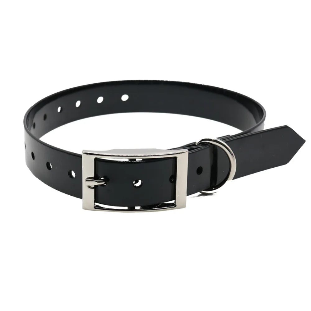Dog Collar Image 7