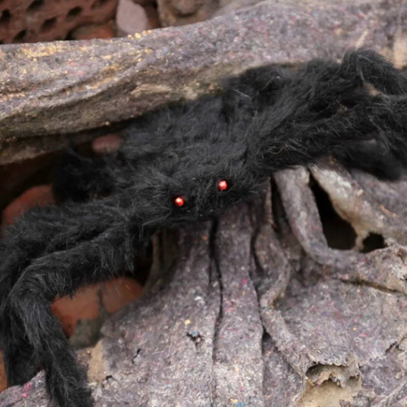 Cosplay&ware 30cm-200cm Super Big Wire Plush Material Spider Realistic Black Horrible Fake Spiders Toy Home Party Halloween Decoration 20 Cosplay&ware 30cm-200cm Super Big Wire Plush Material Spider Realistic Black Horrible Fake Spiders Toy Home Party Halloween Decoration -Cosplayware Store