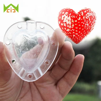 WCIC 5PCS Plastic Heart Star Shape Cucumber Watermelon Growth Forming Mold Vegetable Fruit Growth Shaping Mould for Garden
WCIC 5PCS Plastic Heart Star Shape Cucumber Watermelon Growth Forming Mold Vegetable Fruit Growth Shaping Mould for Garden