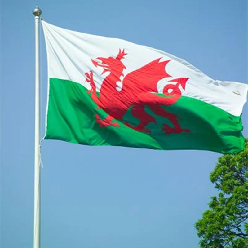 Image 150x90CM Large Wales Welsh Red Dragon National Flag Banner Soccer Football Hanging Decor