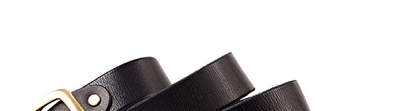 N17FJ291 (11)