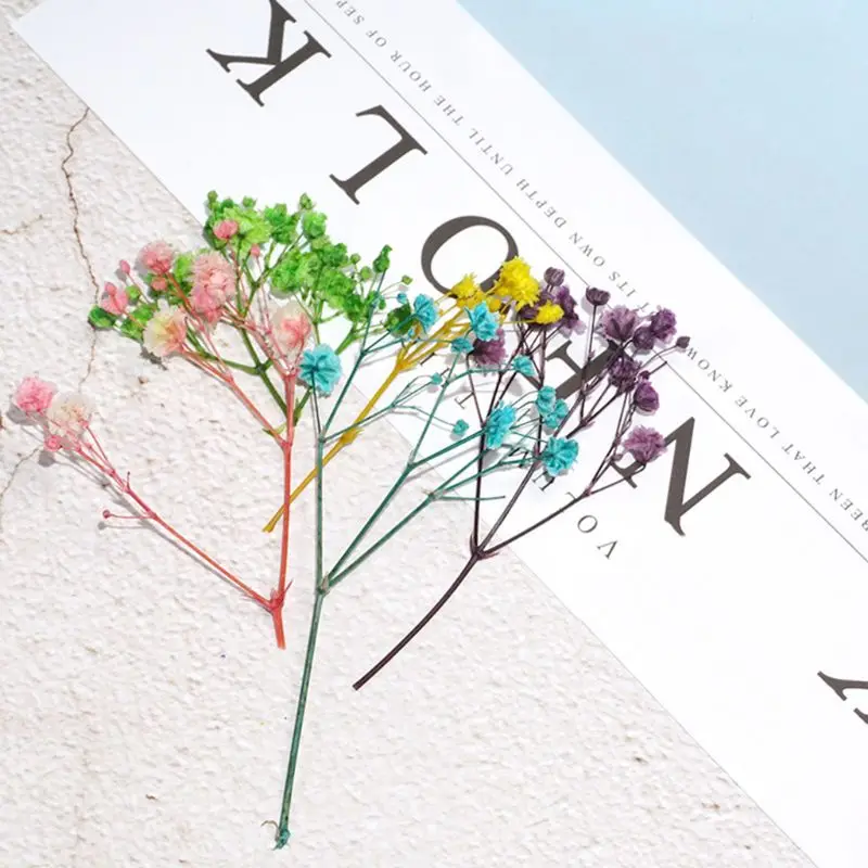 Epoxy Resin UV Glue Crafts Natural Dry Leaves Flowers Material Manual Book Mark Jewelry Pendant DIY Art Craft Tool
Epoxy Resin UV Glue Crafts Natural Dry Leaves Flowers Material Manual Book Mark Jewelry Pendant DIY Art Craft Tool