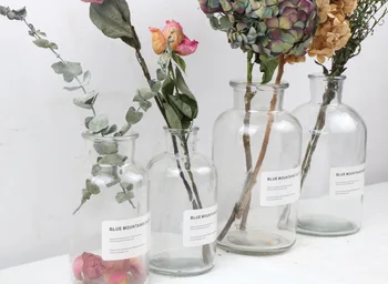 New Transparent Nodic Style European New Fashion Letter Sticker Flower Pot Flower Holder Flower Vase Bottle Free Hemp Rope 80cm
New Transparent Nodic Style European New Fashion Letter Sticker Flower Pot Flower Holder Flower Vase Bottle Free Hemp Rope 80cm