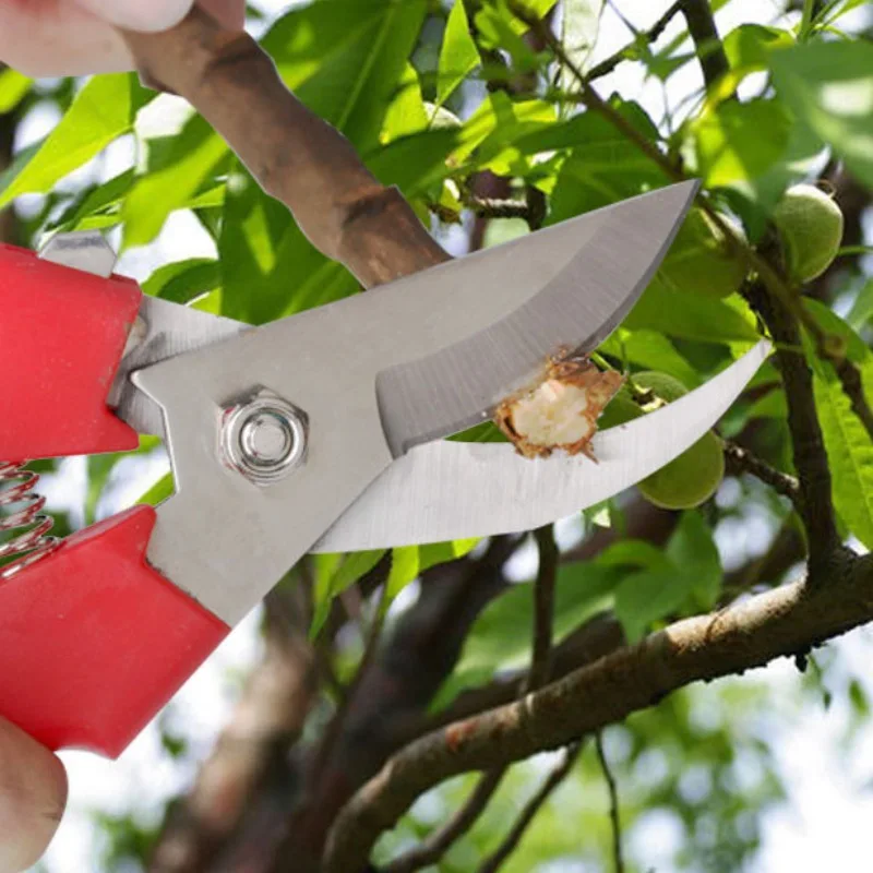 Gardening Scissors Hand Pruner Fruit Tree Trimmer Secateurs with Non-Slip Handle Safety Lock Garden Pruning Shears
Gardening Scissors Hand Pruner Fruit Tree Trimmer Secateurs with Non-Slip Handle Safety Lock Garden Pruning Shears