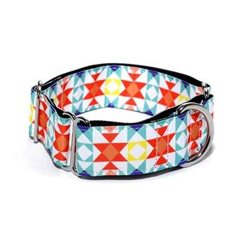 Nylon Dog Collar Saluki Whippet Lurcher Martingale Dog Collar 2.5cm and 3.8 cm Wide Necklaces
Nylon Dog Collar Saluki Whippet Lurcher Martingale Dog Collar 2.5cm and 3.8 cm Wide Necklaces