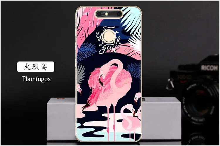 Flamingos