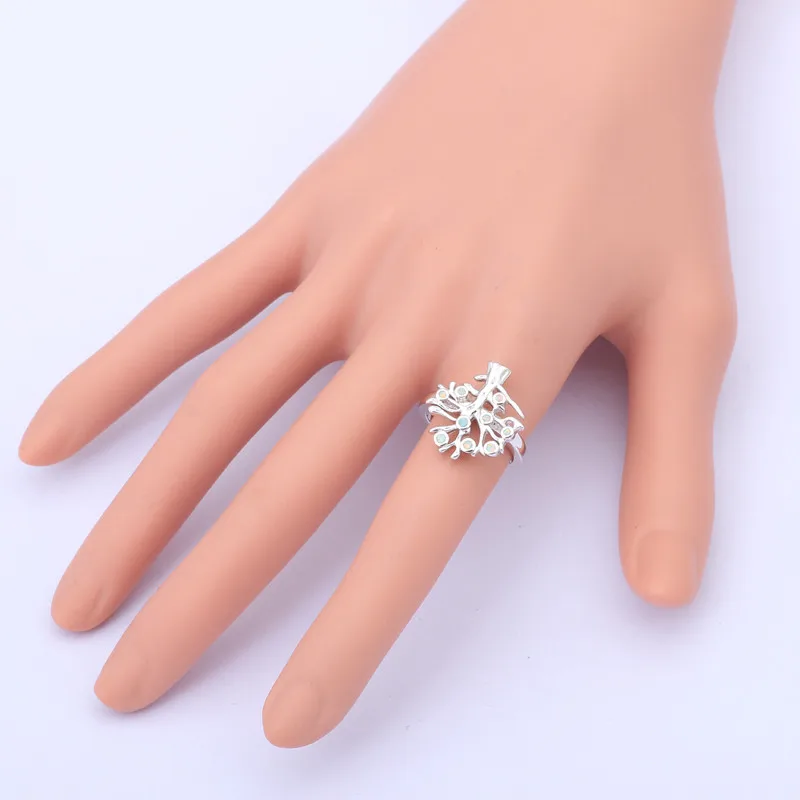 OR579D