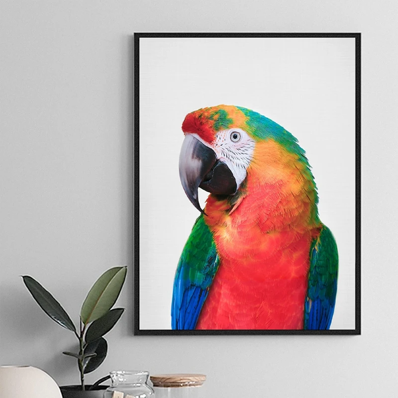 PARROT MACAW TROPICAL BIRD Vinyl wall art sticker decal