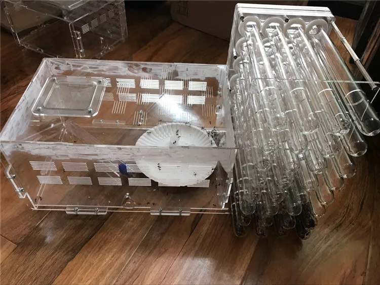 32PCS 18MM 20MM Tubes DHL Ant Nest Transparent Ant Housing For Kids Scientific Device Ant Villa Acrylic Ant Farm Ant Pet Cages
32PCS 18MM 20MM Tubes DHL Ant Nest Transparent Ant Housing For Kids Scientific Device Ant Villa Acrylic Ant Farm Ant Pet Cages