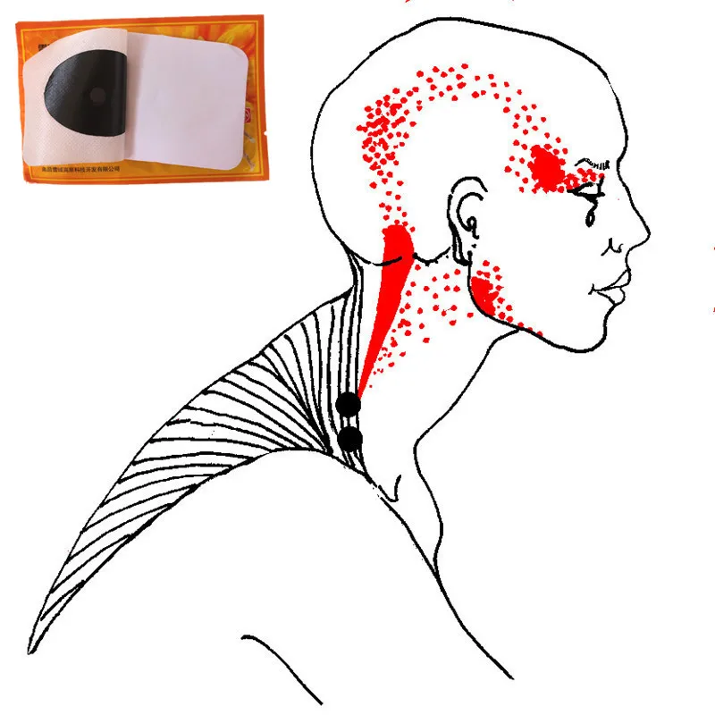 Fast Analgesic effect Bee venom Essential Oil heating patches for Neck Back Relieve pain Killer Body Massage Plaster Tiger Balm
Fast Analgesic effect Bee venom Essential Oil heating patches for Neck Back Relieve pain Killer Body Massage Plaster Tiger Balm
