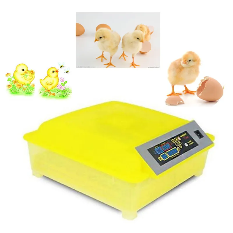 Fully Automatic high quality Digital 48 Eggs Incubator home&farm use Hatching Poultry Chicken Duck Quail Eggs Hatchy
Fully Automatic high quality Digital 48 Eggs Incubator home&farm use Hatching Poultry Chicken Duck Quail Eggs Hatchy
