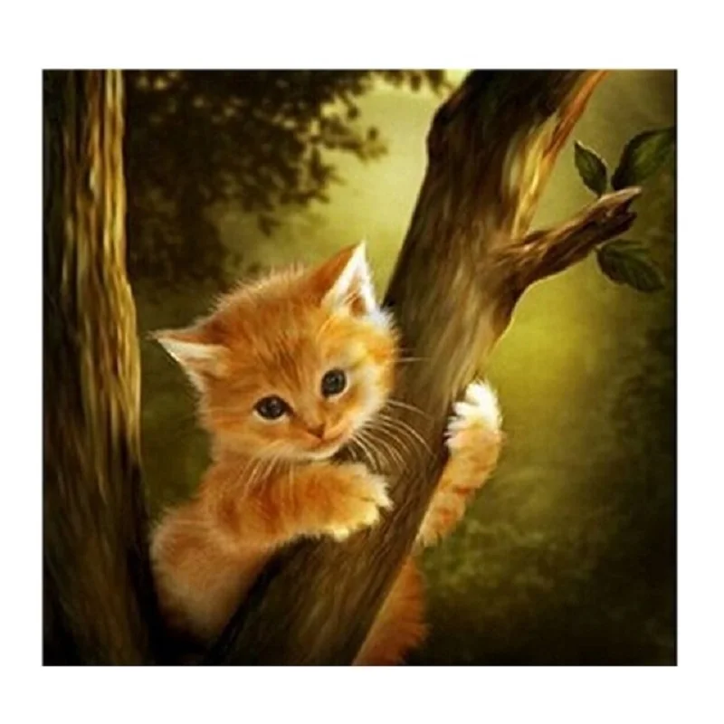 3D DIY Kitten Diamond Embroidery Cute Cat Diamond Painting Kits Animal Picture Round Rhinestones Diamonds Home Decor Paintings
3D DIY Kitten Diamond Embroidery Cute Cat Diamond Painting Kits Animal Picture Round Rhinestones Diamonds Home Decor Paintings