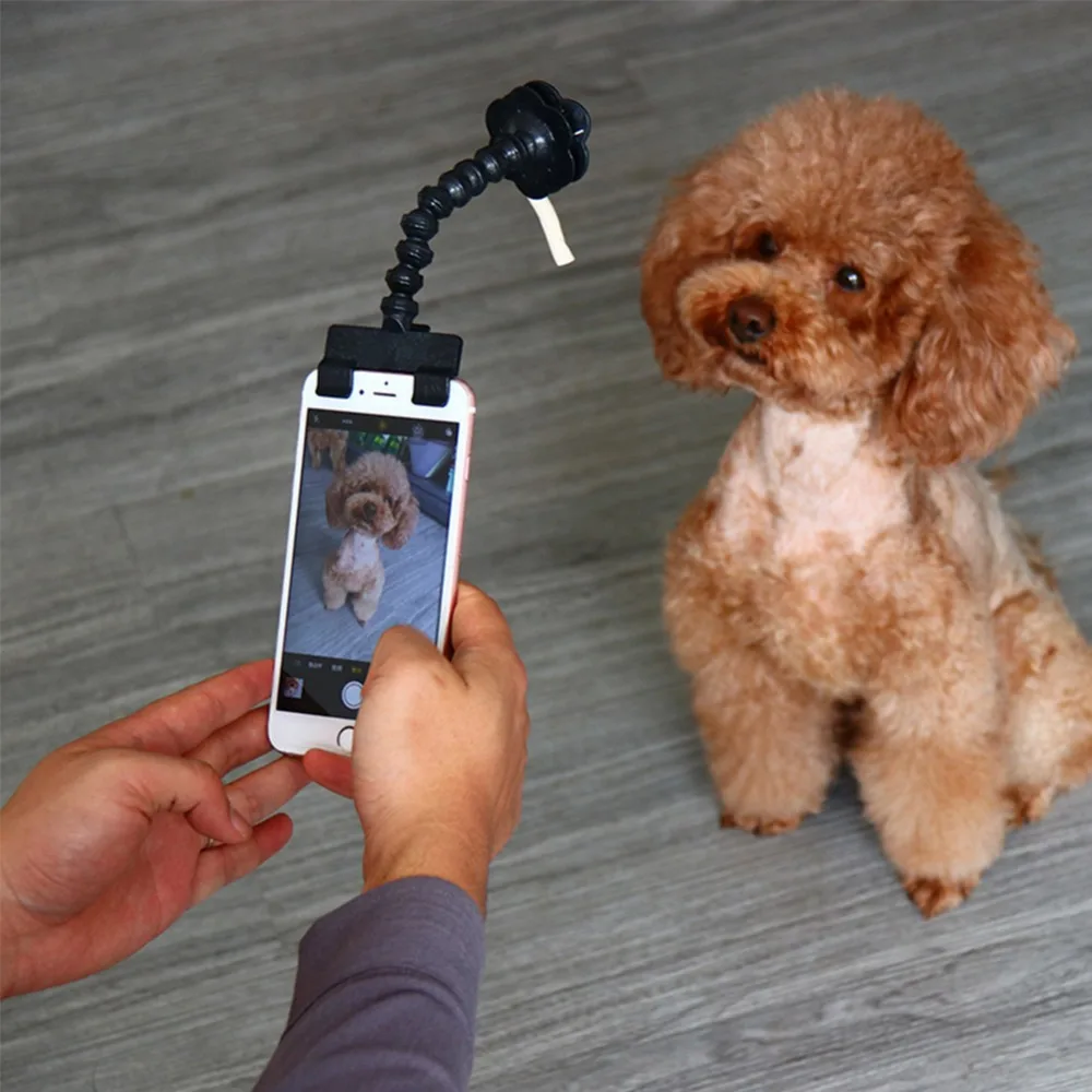 300094_no-logo_300094-1-02