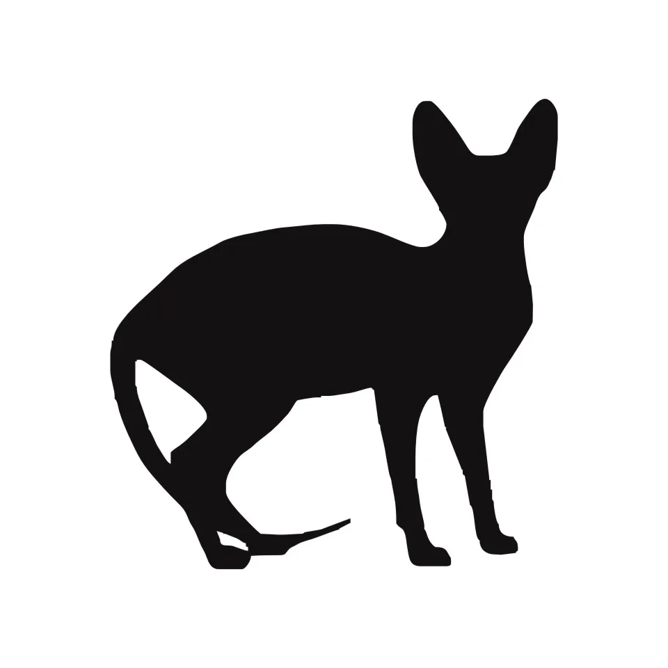 Anycuros Sphynx Cat Car Window Decorative Decals Funny Lovely Animal Car Stickers 11.512.1CM (5)