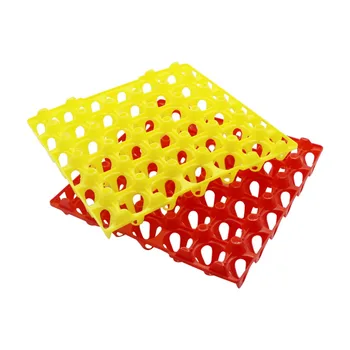 10 Egg tray 29 * 29 * 5cm 30 egg storage rack Chicken farming equipment Incubator Free shipping
10 Egg tray 29 * 29 * 5cm 30 egg storage rack Chicken farming equipment Incubator Free shipping